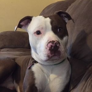 Meet your Posher, Marc